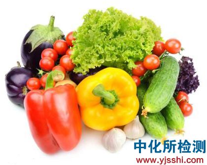 蔬菜检测,蔬菜检测机构